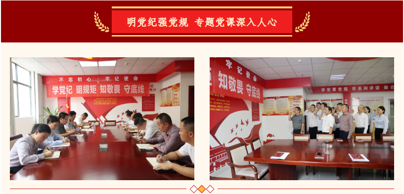 瑞昌華中公司黨支部開展迎“七一”暨廉潔文化教育主題黨日活動(dòng)