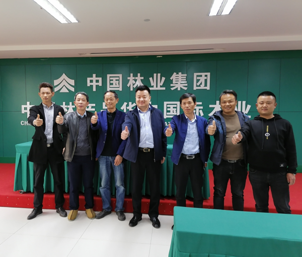 抗疫初捷，中林華中木業(yè)喜迎5家企業(yè)簽約落戶