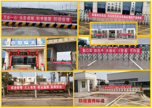 中林華中國際木業(yè)家居產(chǎn)業(yè)園 疫情防控、復(fù)工復(fù)產(chǎn)工作動態(tài)